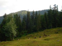 2013-07-20_Regina-F-Rau_Kochel-Rabenkopf (365).JPG
